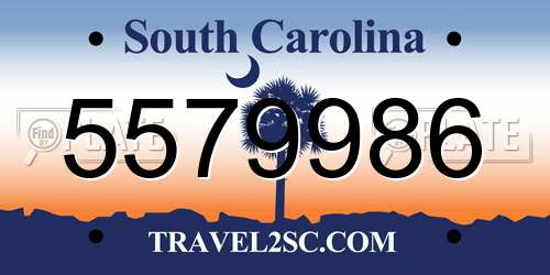 5579986 South Carolina License Plate
