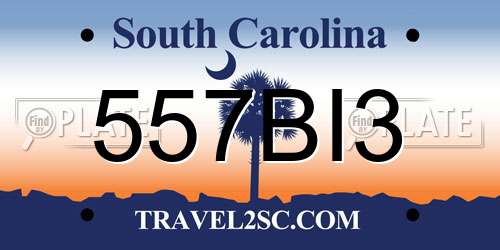 557BI3 South Carolina License Plate