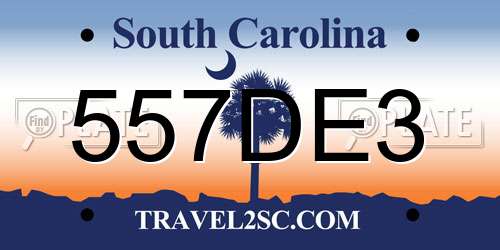 557DE3 South Carolina License Plate