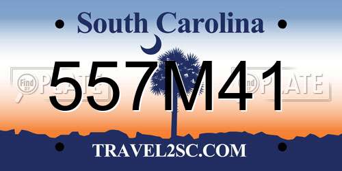 557M41 South Carolina License Plate