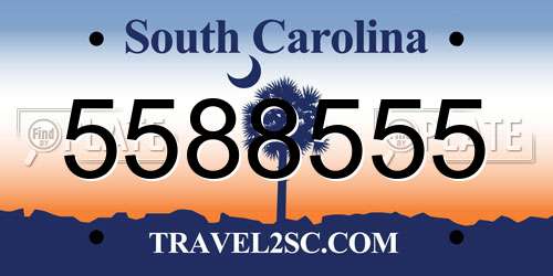 5588555 South Carolina License Plate