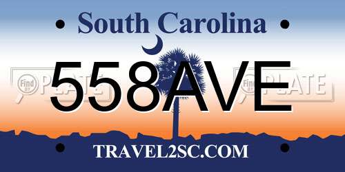 558AVE South Carolina License Plate