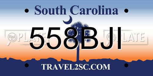 558BJI South Carolina License Plate