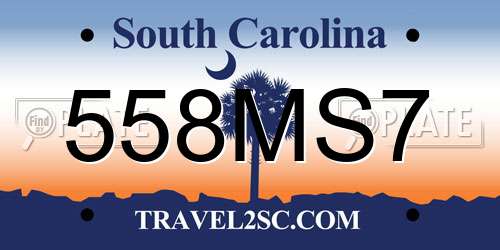 558MS7 South Carolina License Plate