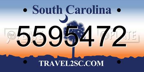 5595472 South Carolina License Plate