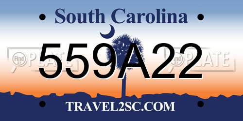 559A22 South Carolina License Plate