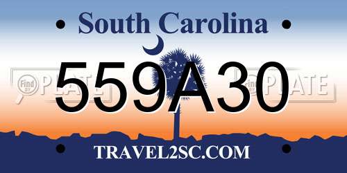 559A30 South Carolina License Plate