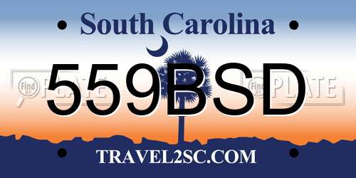559BSD South Carolina License Plate
