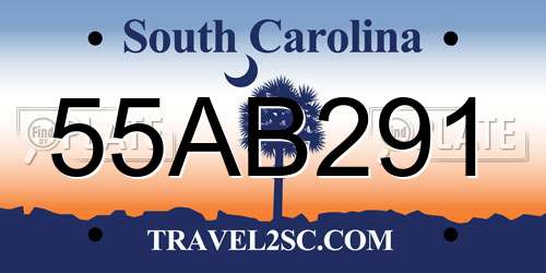 55AB291 South Carolina License Plate