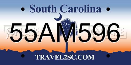 55AM596 South Carolina License Plate