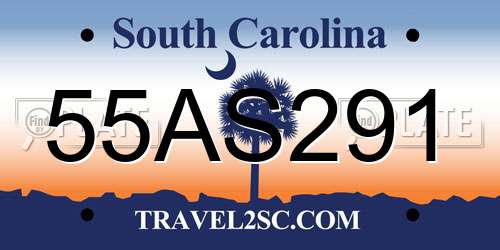 55AS291 South Carolina License Plate
