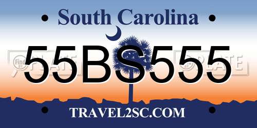 55BS555 South Carolina License Plate