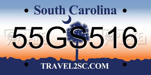 55GS516 South Carolina License Plate