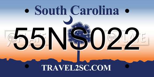 55NS022 South Carolina License Plate