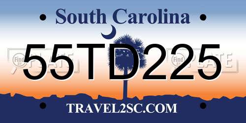 55TD225 South Carolina License Plate