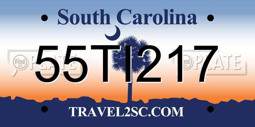 55TI217 South Carolina License Plate