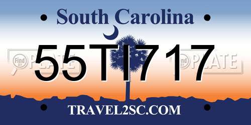 55TI717 South Carolina License Plate
