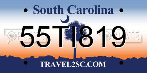 55TI819 South Carolina License Plate