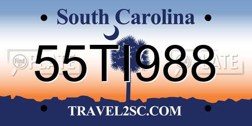 55TI988 South Carolina License Plate