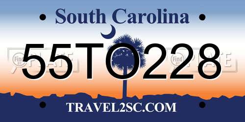 55TO228 South Carolina License Plate