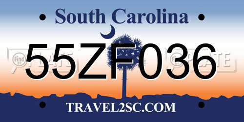 55ZF036 South Carolina License Plate