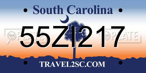 55ZI217 South Carolina License Plate