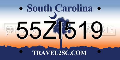 55ZI519 South Carolina License Plate