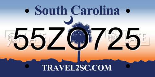 55ZO725 South Carolina License Plate