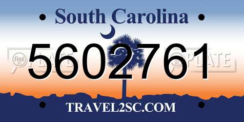 5602761 South Carolina License Plate
