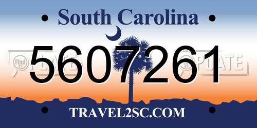 5607261 South Carolina License Plate