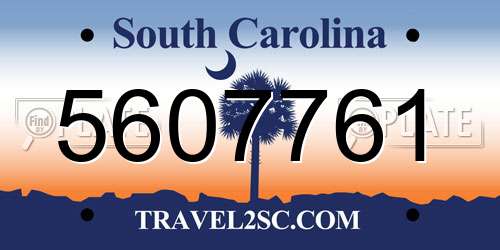 5607761 South Carolina License Plate