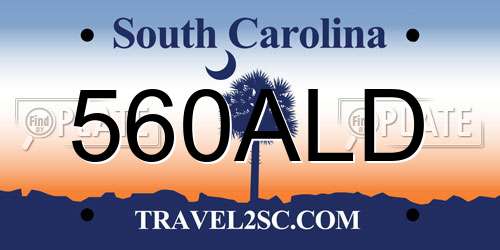 560ALD South Carolina License Plate