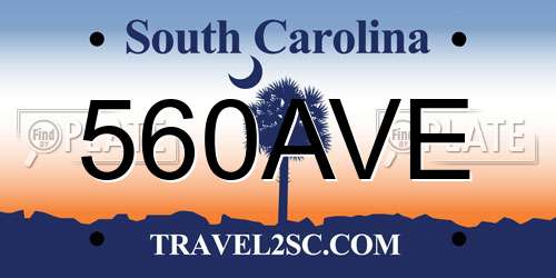 560AVE South Carolina License Plate