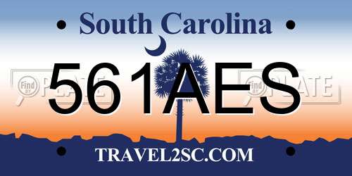 561AES South Carolina License Plate