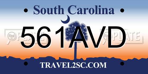 561AVD South Carolina License Plate