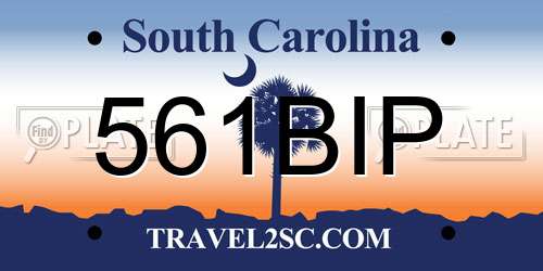 561BIP South Carolina License Plate