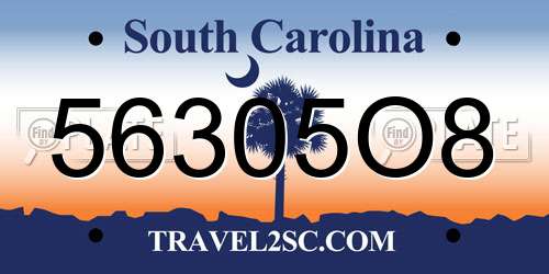 56305O8 South Carolina License Plate
