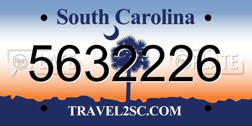 5632226 South Carolina License Plate