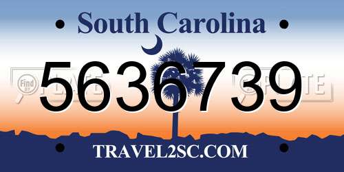 5636739 South Carolina License Plate