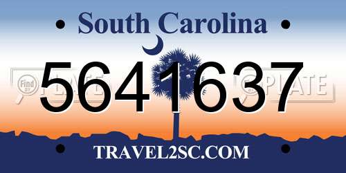 5641637 South Carolina License Plate