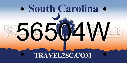 56504W South Carolina License Plate