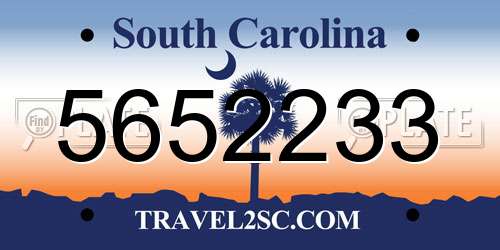 5652233 South Carolina License Plate