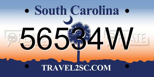 56534W South Carolina License Plate