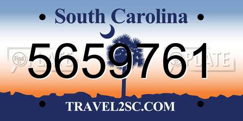 5659761 South Carolina License Plate