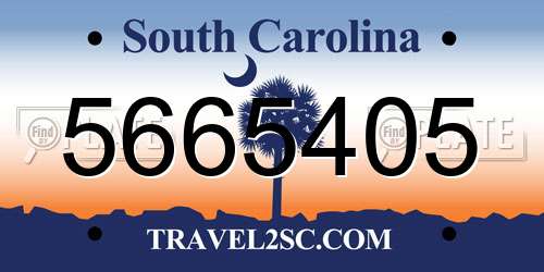 5665405 South Carolina License Plate