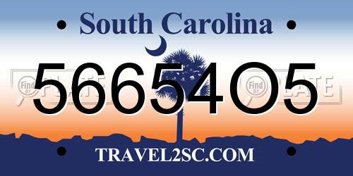 56654O5 South Carolina License Plate