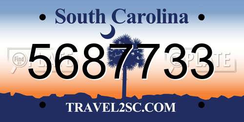 5687733 South Carolina License Plate