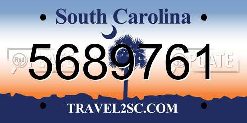 5689761 South Carolina License Plate