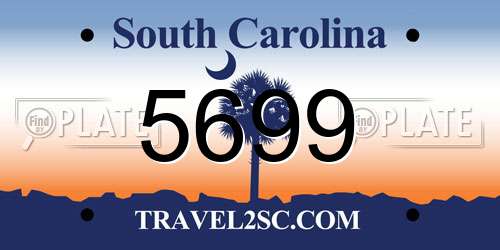 5699 South Carolina License Plate