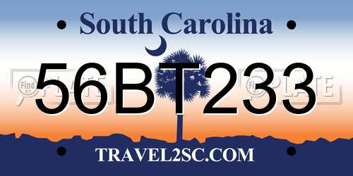 56BT233 South Carolina License Plate
